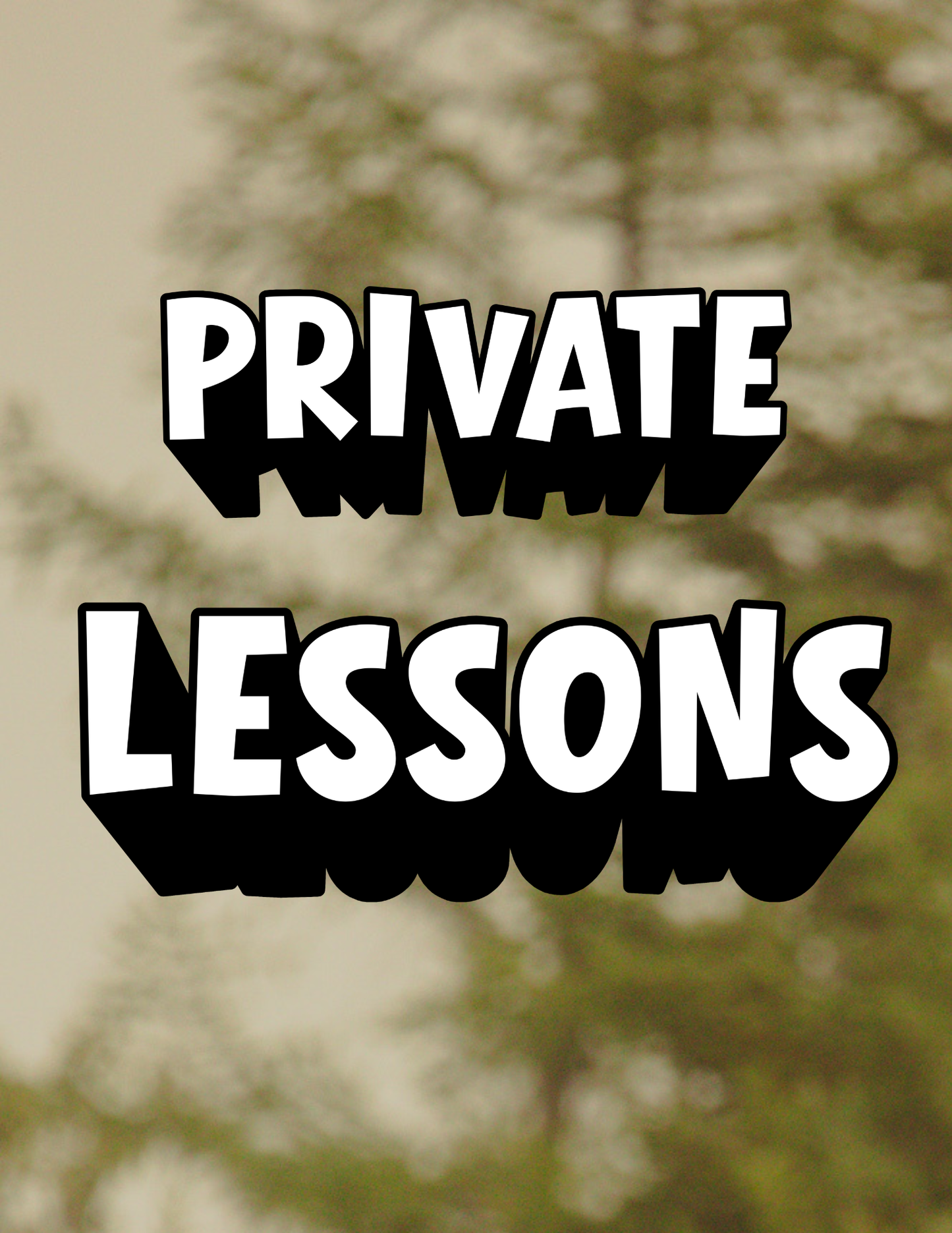PRIVATE LESSONS