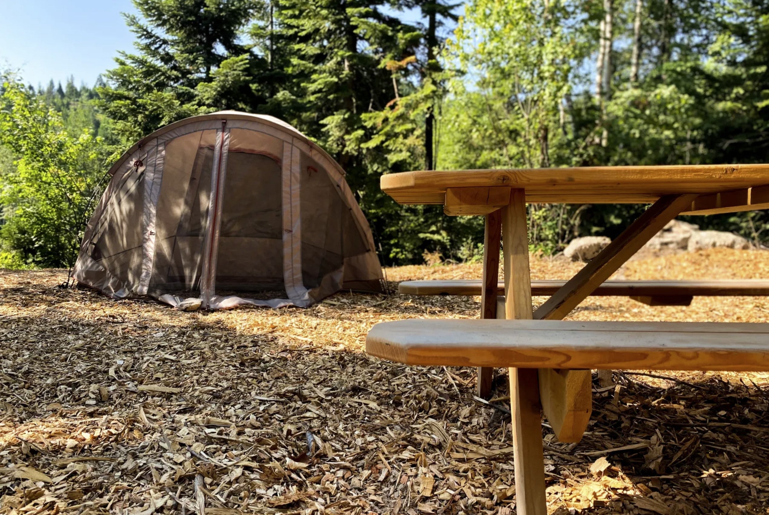 One Campsite at Legacy